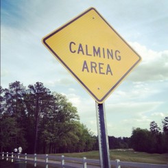 calming-area