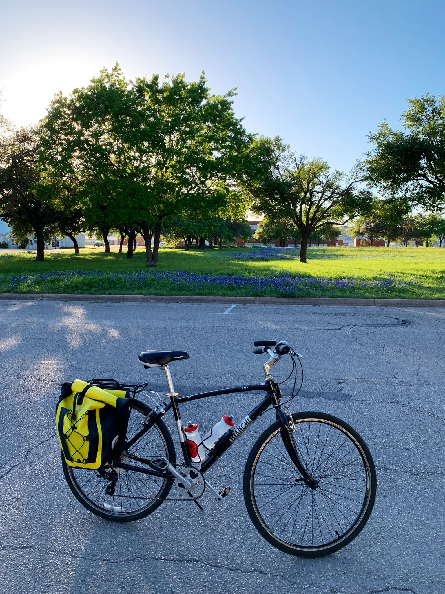 one-year-of-biking-austin-kleon