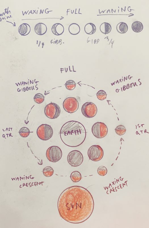 moon phases drawing
