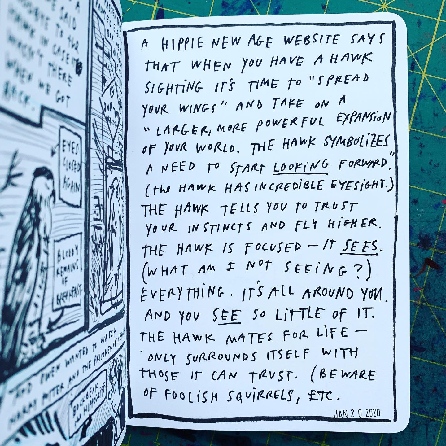 The Hawk - Austin Kleon