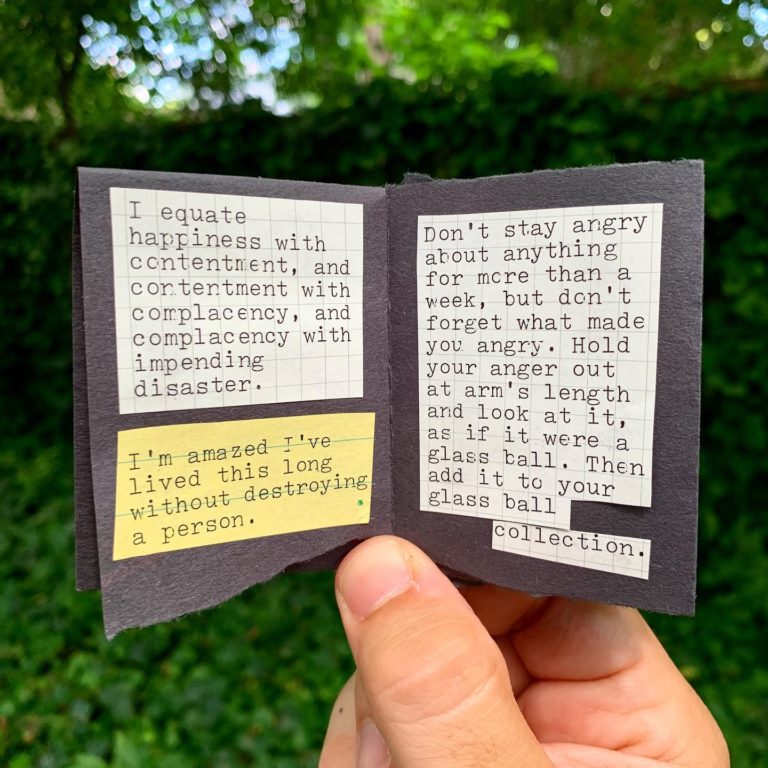 Angry and Curious (a zine) - Austin Kleon