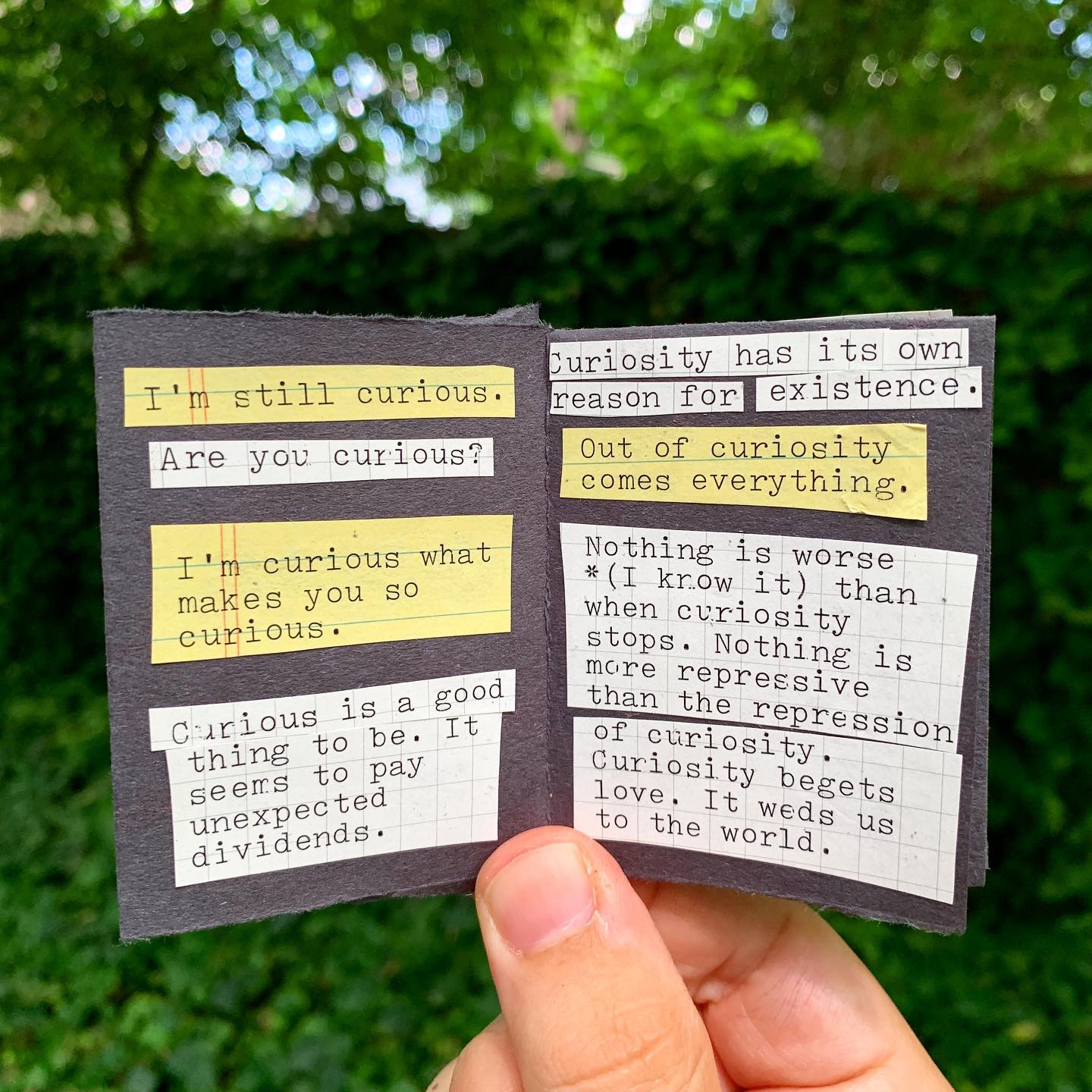 Angry and Curious (a zine) - Austin Kleon