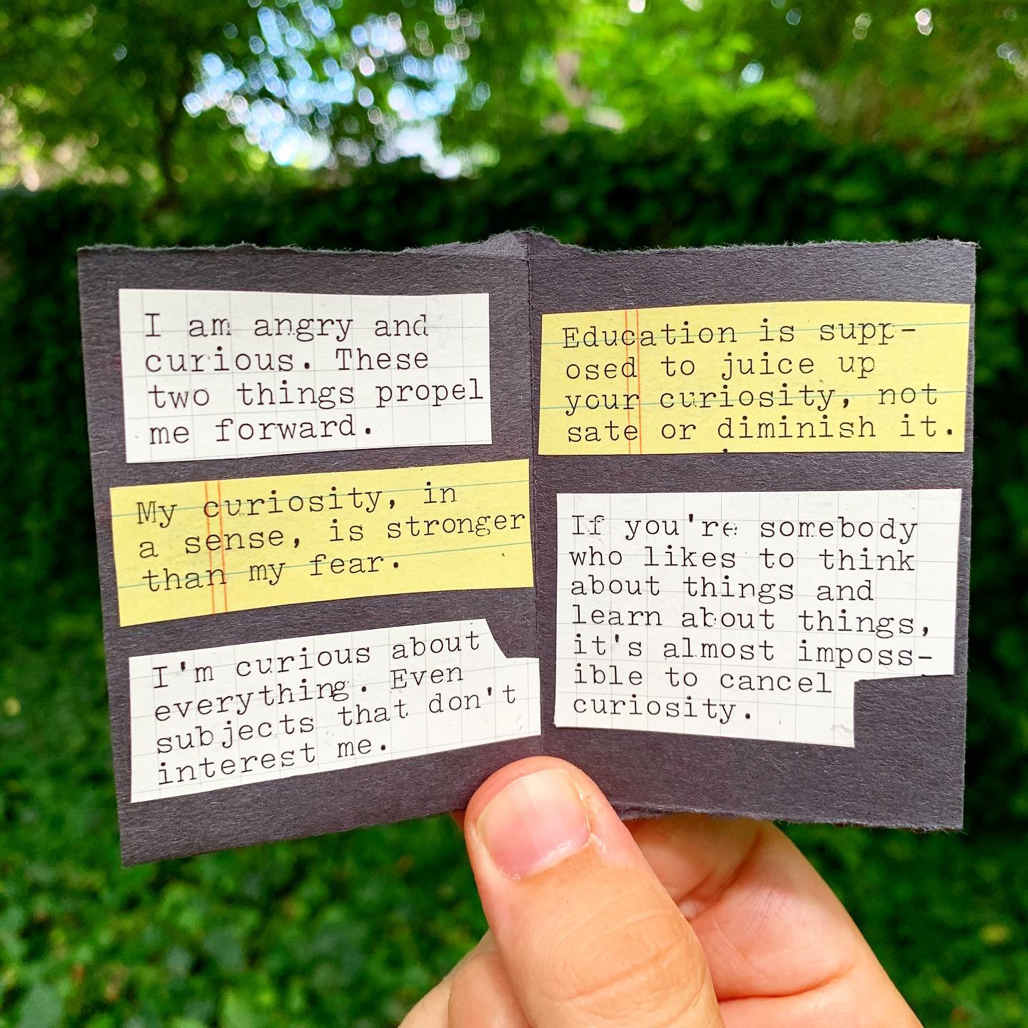 Angry and Curious (a zine) - Austin Kleon