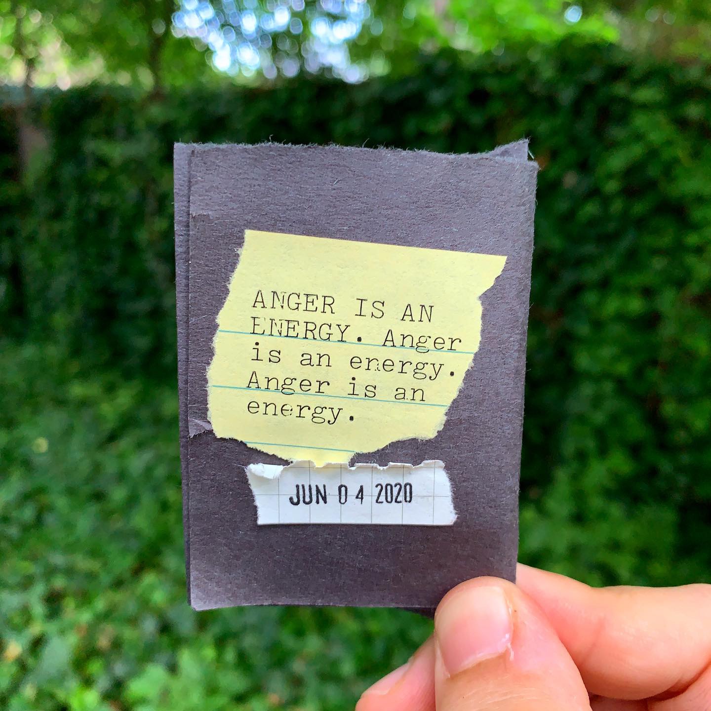 Angry and Curious (a zine) - Austin Kleon