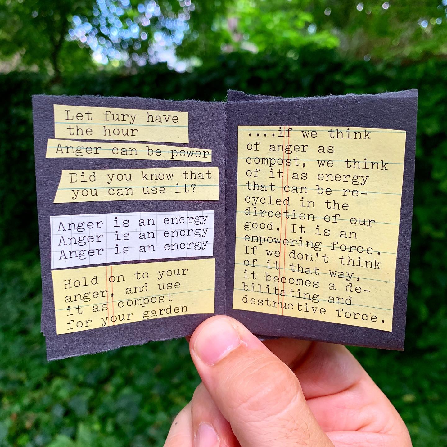 Angry And Curious (a Zine) - Austin Kleon