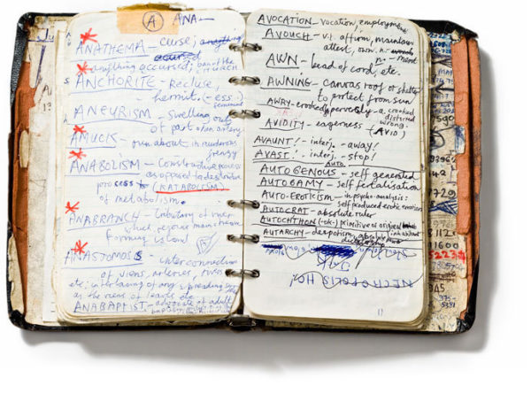Nick Cave handwritten dictionary